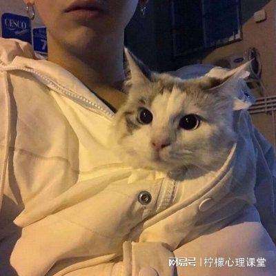 cok列王的纷争多酷下载