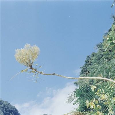 梦想城镇coco账号版本下载